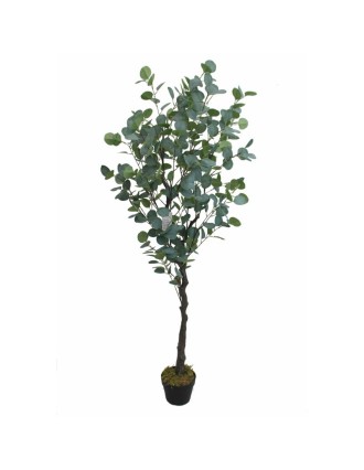 Τεχνητό Φυτό Ευκάλυπτος 165cm Oranon
