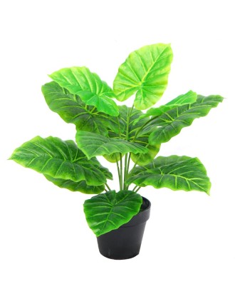 Τεχνητό Φυτό Taro 45cm Oranon