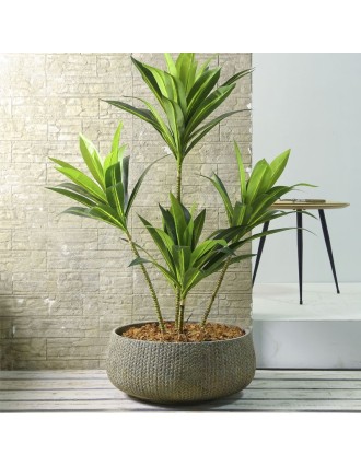 Κασπώ Χαμηλό Στρογγυλό Fiber Cement Blackish Green 55x23H Oranon