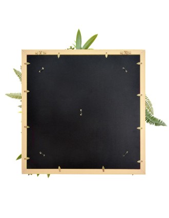 Vertical Garden Plant Rhea B 50x50 Oranon