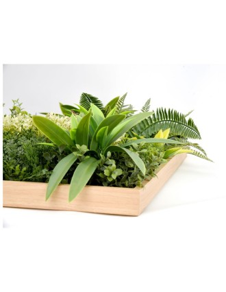Vertical Garden Plant Rhea B 50x50 Oranon