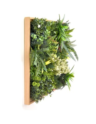 Vertical Garden Plant Rhea B 50x50 Oranon