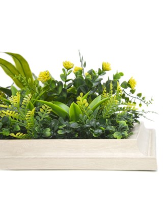 Vertical Garden Plant Flourishing Spring 25x25 Oranon