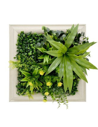 Vertical Garden Plant Flourishing Spring 25x25 Oranon