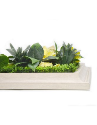 Vertical Garden Plant Refreshing Winter 25x25 Oranon