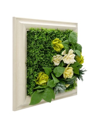Vertical Garden Plant Refreshing Winter 25x25 Oranon