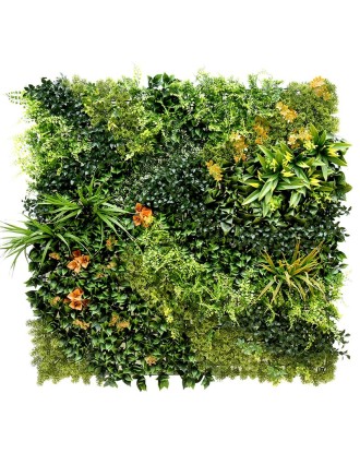 Vertical Garden Plant Orange Bougainvillea 100x100 Oranon