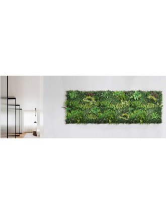 Vertical Garden Plant Color Meadow 100x100 Oranon