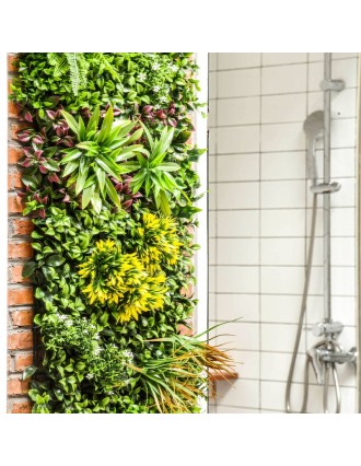 Vertical Garden Plant Color Meadow 100x100 Oranon