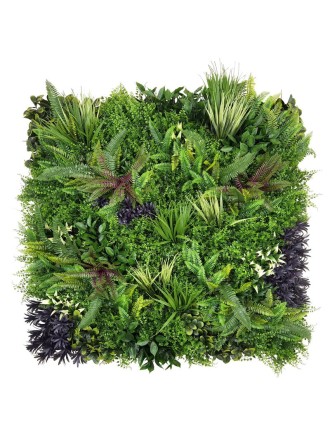 Vertical Garden Plant Aurora B 100x100 Oranon