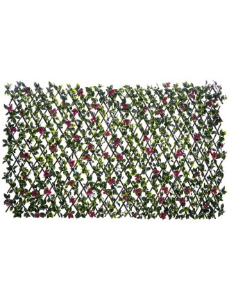 Vertical Garden Plant Gardenia Leave  100x200 Oranon