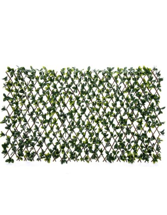 Vertical Garden Plant Bayberry Willow Fence 100x200 Oranon