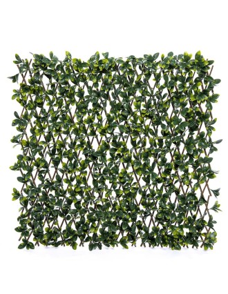 Vertical Garden Plant Bayberry Willow Fence 100x200 Oranon