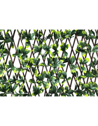 Vertical Garden Plant Bayberry Willow Fence 100x200 Oranon