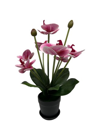 Τεχνητό Φυτό Oranon Phalaenopsis Μωβ με 9 Άνθη