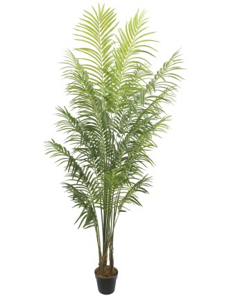 Τεχνητό Φυτό Αρέκα Oranon 220cm