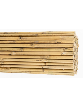 Bamboo Φυσικό Tonkin 14-24mm 100cm Η Oranon