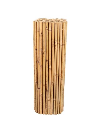 Bamboo Φυσικό Tonkin 14-24mm 200cm Η Oranon