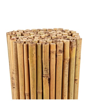 Bamboo Φυσικό Tonkin 14-24mm 200cm Η Oranon