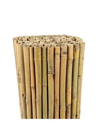 Bamboo Φυσικό Tonkin 18-28mm 250cm Η Oranon