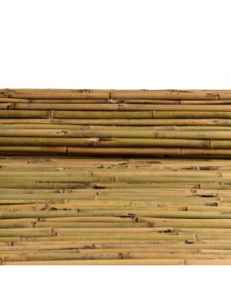 Bamboo Φυσικό Tonkin 18-28mm 250cm Η Oranon