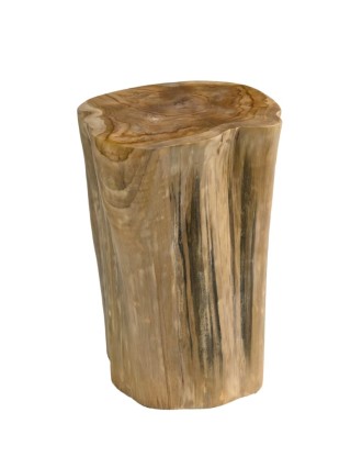 Βοηθητικό Τραπεζάκι Κορμός Stump Ξύλο Teak Oranon