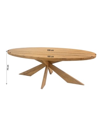 Τραπέζι Elips 220cm Ξύλο Teak Oranon